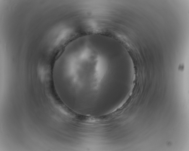 X0000095120760200712071240