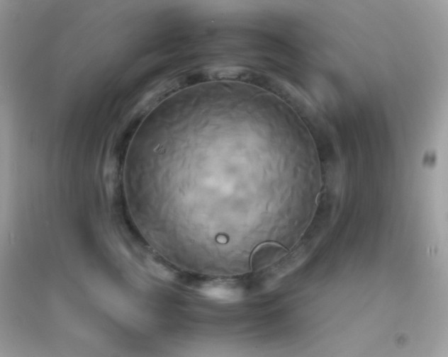 X0000095120761200712071240