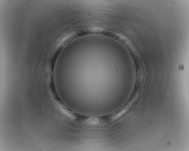 X0000095120762200712071240