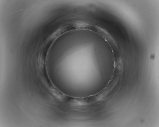 X0000095120763200712071240