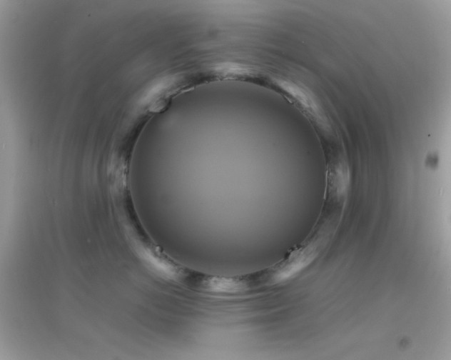 X0000095120766200712071240