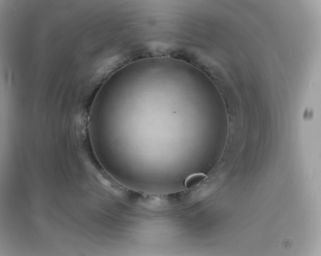 X0000095120768200712071240