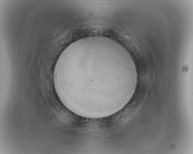 X0000095120769200712071239