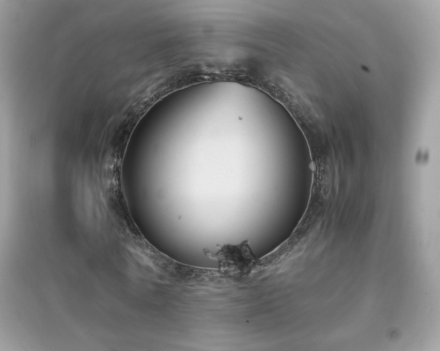 X0000095120770200712071239