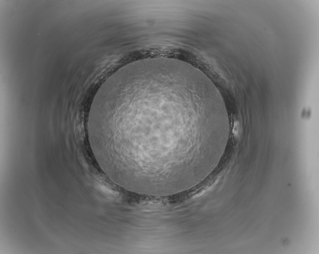 X0000095120771200712071239
