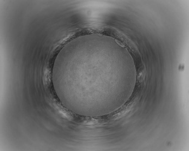 X0000095120772200712071239