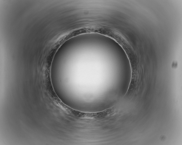 X0000095120773200712071239