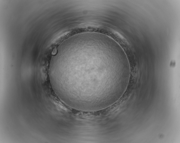 X0000095120774200712071239