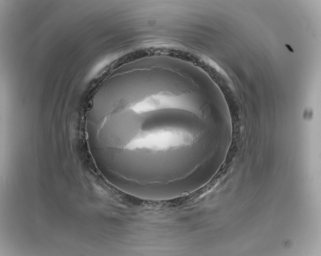 X0000095120775200712071239