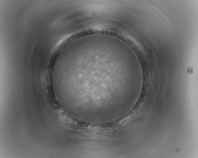 X0000095120776200712071239