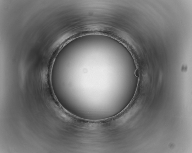 X0000095120778200712071239