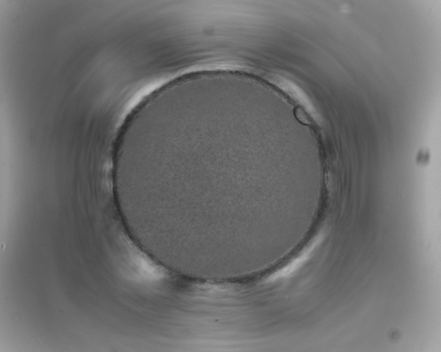 X0000095120781200712071239