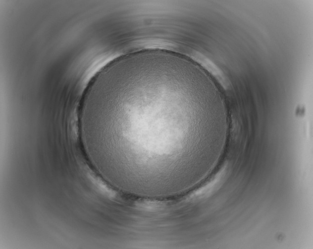 X0000095120782200712071239