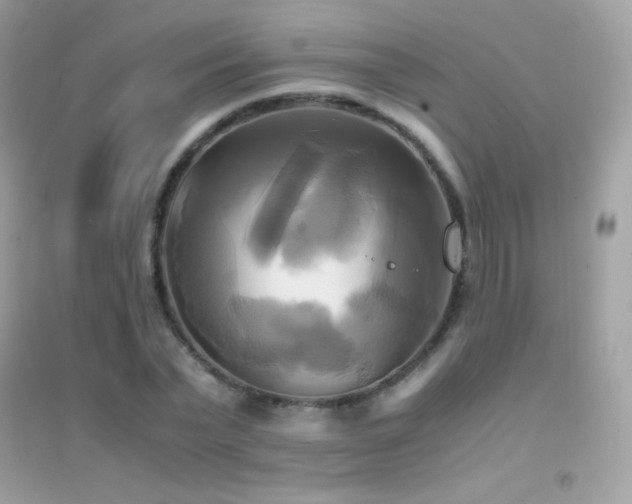 X0000095120783200712071239
