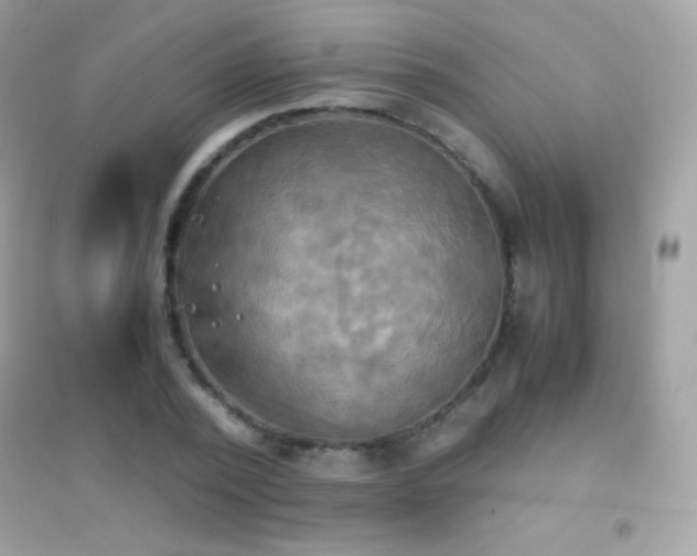 X0000095120784200712071239