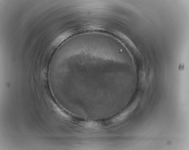 X0000095120785200712071239