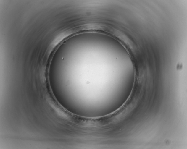 X0000095120786200712071239