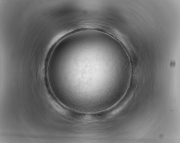 X0000095120787200712071239
