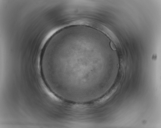 X0000095120788200712071239