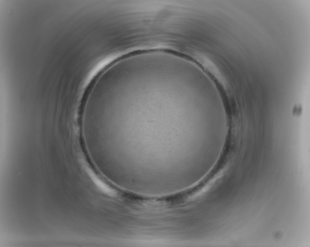 X0000095120789200712071239