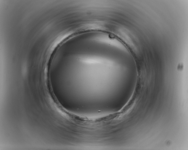 X0000095120790200712071239