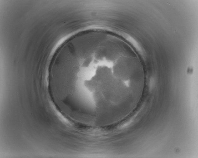 X0000095120791200712071239