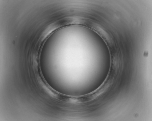 X0000095120794200712071239
