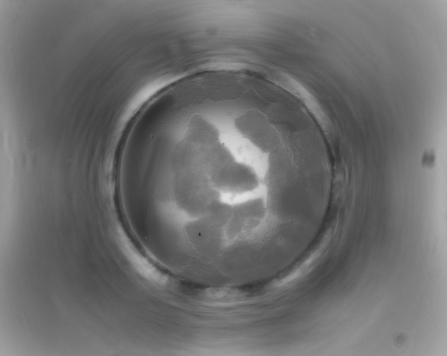 X0000095120795200712071239