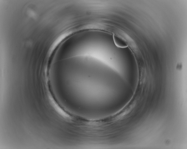 X0000095120796200712071239