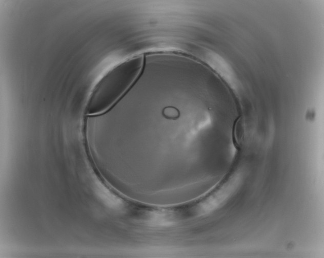X0000095120797200712071239