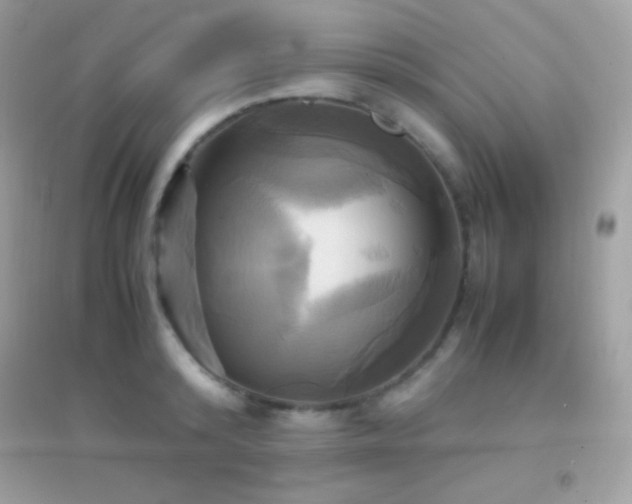 X0000095120800200712071239