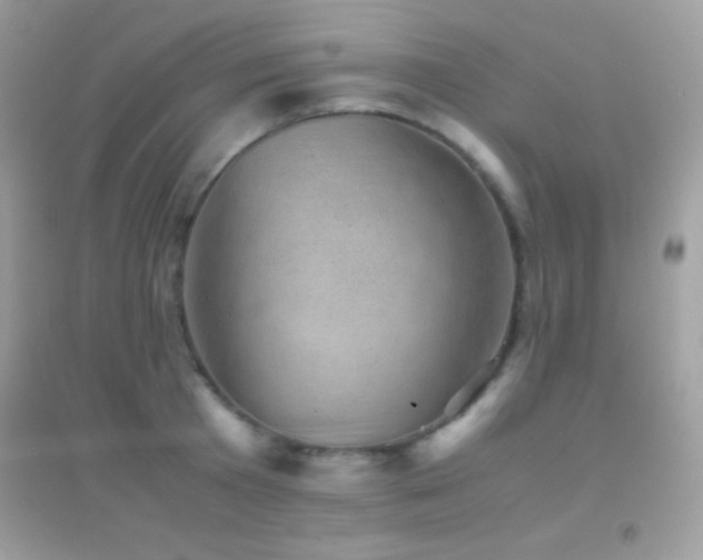X0000095120801200712071239