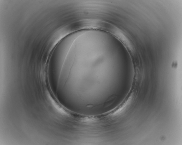 X0000095120802200712071239