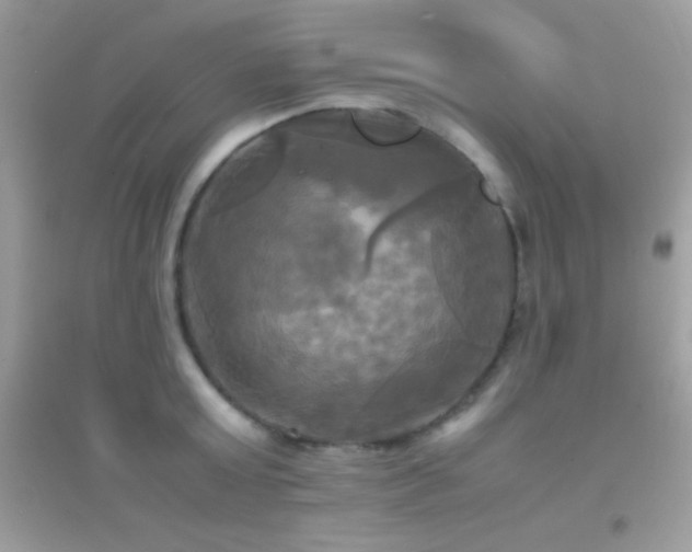 X0000095120803200712071238