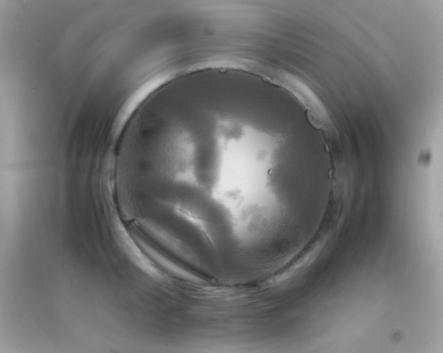 X0000095120804200712071238