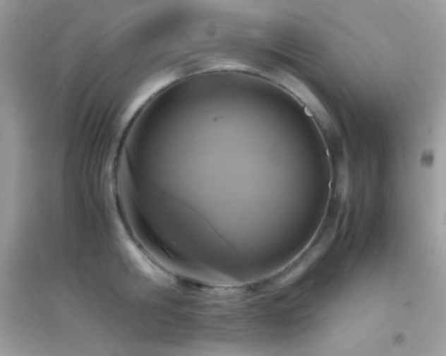 X0000095120806200712071238