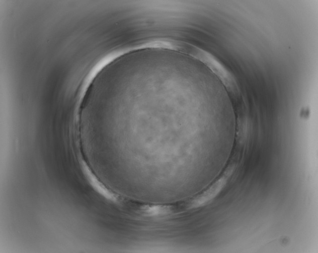 X0000095120808200712071238
