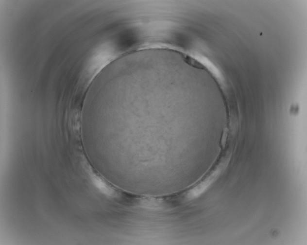 X0000095120809200712071238