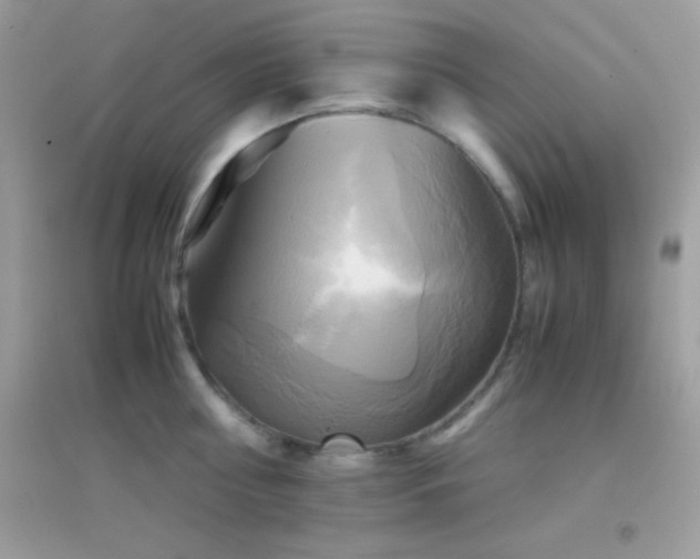 X0000095120810200712071238