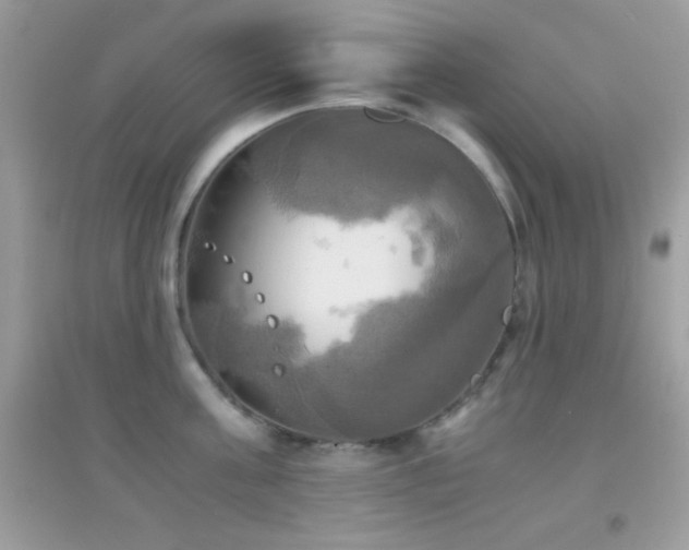 X0000095120811200712071238
