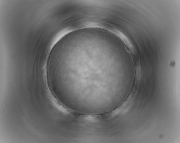 X0000095120814200712071238