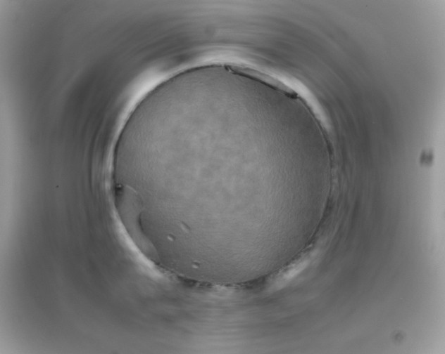 X0000095120815200712071238