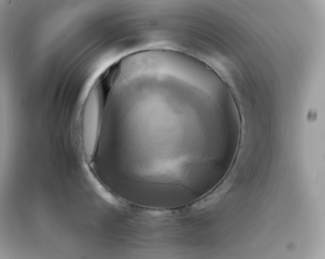 X0000095120816200712071238