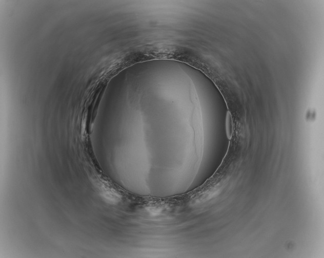 X0000095120818200712071237