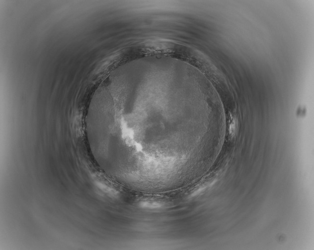 X0000095120819200712071237
