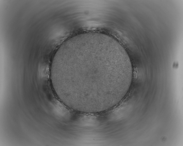 X0000095120820200712071237