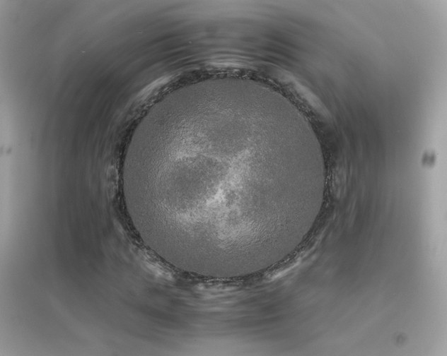 X0000095120821200712071237