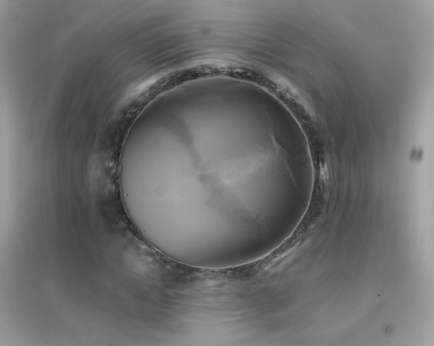 X0000095120822200712071237
