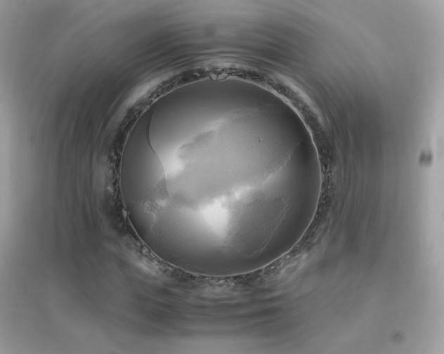 X0000095120823200712071237