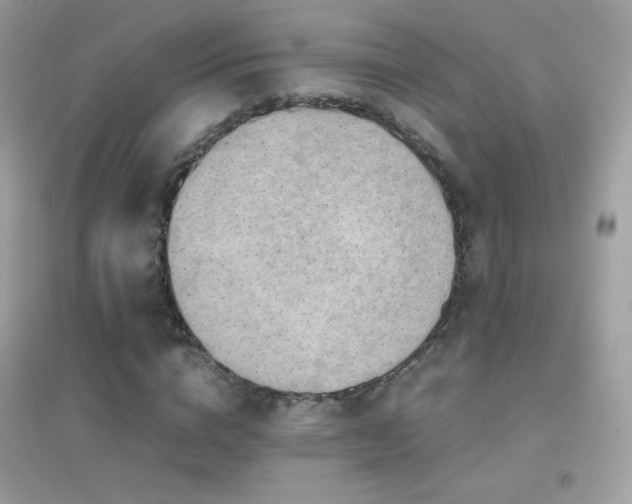 X0000095120824200712071237